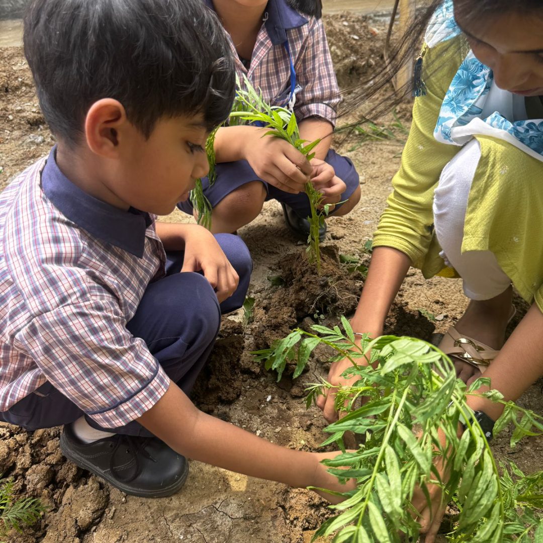 WhatsApp Image 2025-12-17 at 8.47.45 AM (1)